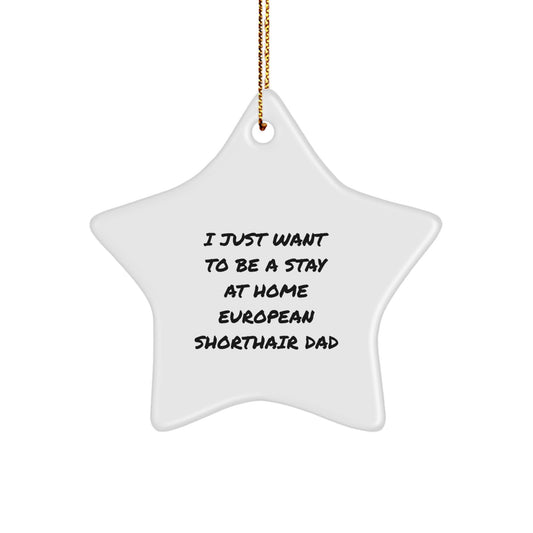 European Shorthair Cat Dad's Funny Gift for Christmas - 'I Just Want To Be A Stay At Home European Shorthair Dad' Star Ornament, Gifts from Friends to Family - Image 1