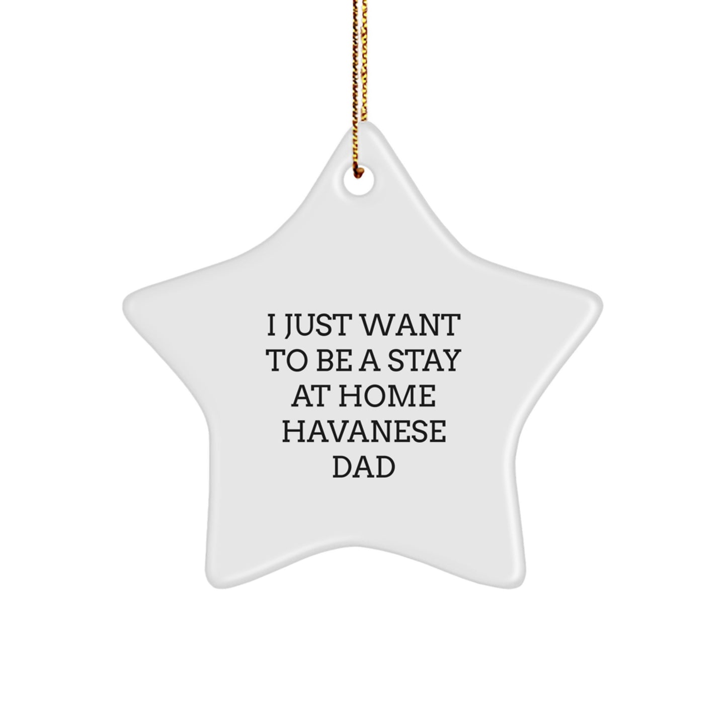 Funny Havanese Dog Gifts - 'I Just Want To Be A Stay At Home Havanese Dad' Star Ornament for Christmas - Image 1