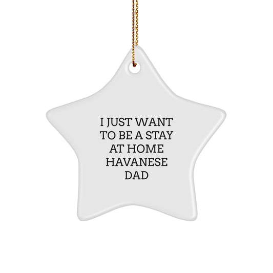 Funny Havanese Dog Gifts - 'I Just Want To Be A Stay At Home Havanese Dad' Star Ornament for Christmas - Image 1