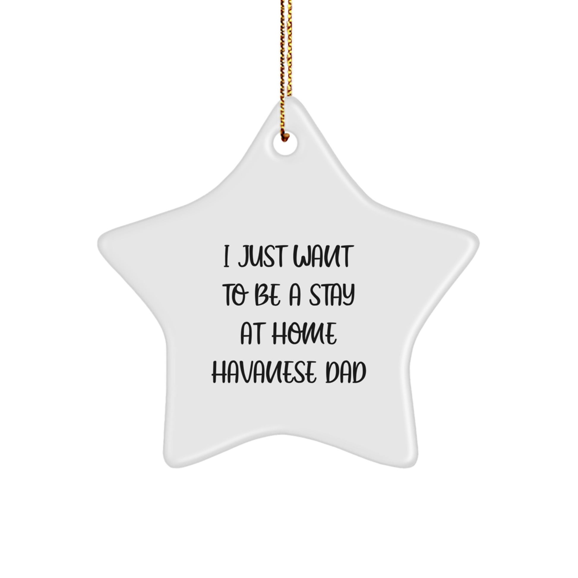 Havanese Dog Gifts from Men, Women, Friends, Coworkers, Family - I Just Want To Be A Stay At Home Havanese Dad Christmas Star Ornament for Home Decor - Image 1