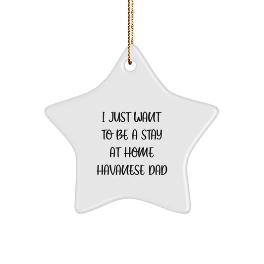 Havanese Dog Gifts from Men, Women, Friends, Coworkers, Family - I Just Want To Be A Stay At Home Havanese Dad Christmas Star Ornament for Home Decor - Image 1