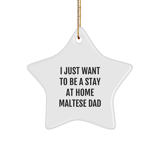 Maltese Dog Dad Star Ornament, Funny Gift from Men to Maltese Dog, I Just Want To Be A Stay At Home Maltese Dad Christmas Decorations Gifts for Maltese Dog Owners - Image 1