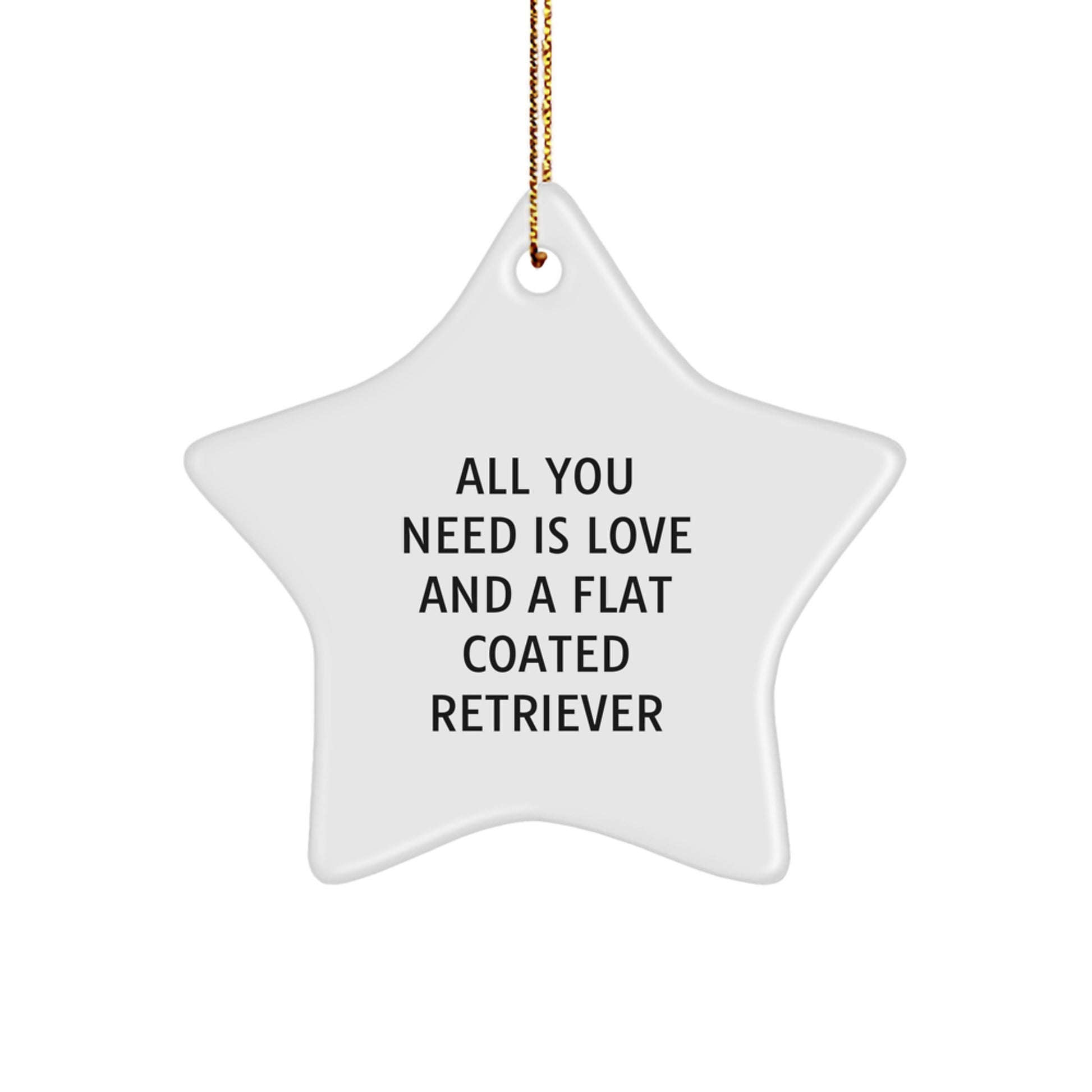 Flat Coated Retriever Dog Love Gifts from Family, Star Ornament Christmas Decorations, 'All You Need Is Love And A Flat Coated Retriever' Quote - Image 1