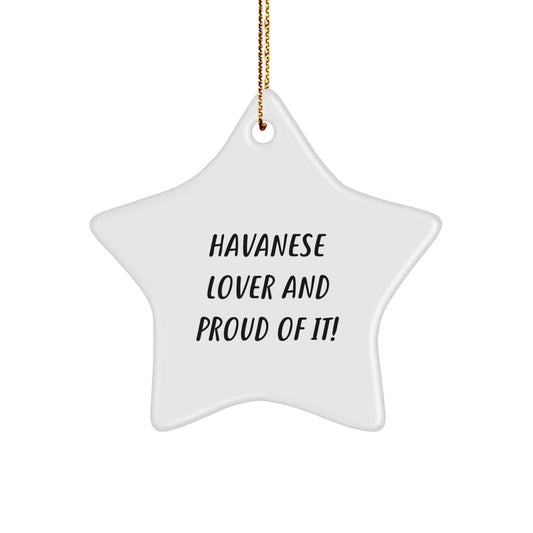 Havanese Dog Lover Gifts from Friends, Havanese Dog Star Ornament for Christmas, 'Havanese Lover And Proud Of It!' Quote, Gifts for Havanese Dog Enthusiasts - Image 1