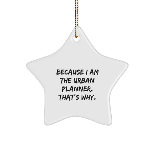 Urban Planner Gifts from Family, Because I Am The Urban Planner. That's Why., Star Ornament for Christmas, Gifts for Urban Planner - Image 1
