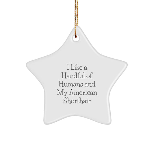 American Shorthair Cat Lovers' Delight, Funny Star Ornament, Gifts from Friends, for Christmas Unique - Image 1