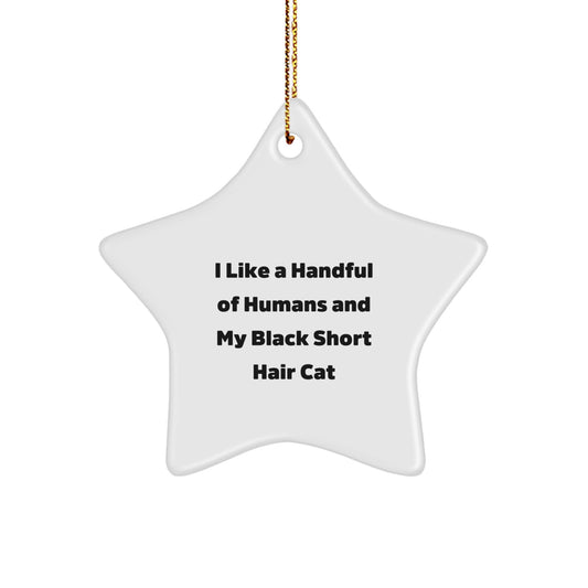 Gifts from Friends and Family for Black Short Hair Cat - Star Ornament with I Like A Handful Of Humans And My Black Short Hair Cat Quote, Perfect for Christmas Unique Gifts - Image 1