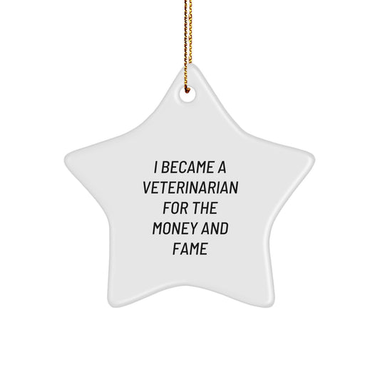 Veterinarian Star Ornament Gifts from Men to Friends - Funny Inspirational Quote 'I Became A Veterinarian For The Money And Fame' - Christmas Unique Gifts for Women Family Coworkers - Image 1