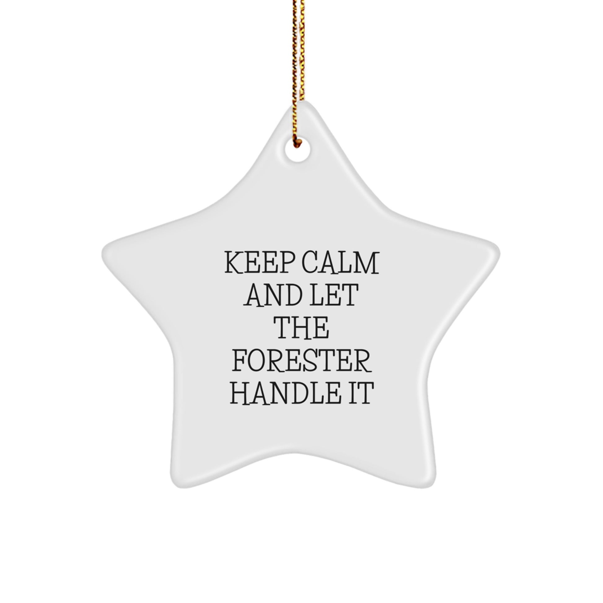 Forester Gifts from Men to Friends with Funny Star Ornament, 'Keep Calm And Let The Forester Handle It', Christmas Unique Gifts - Image 1