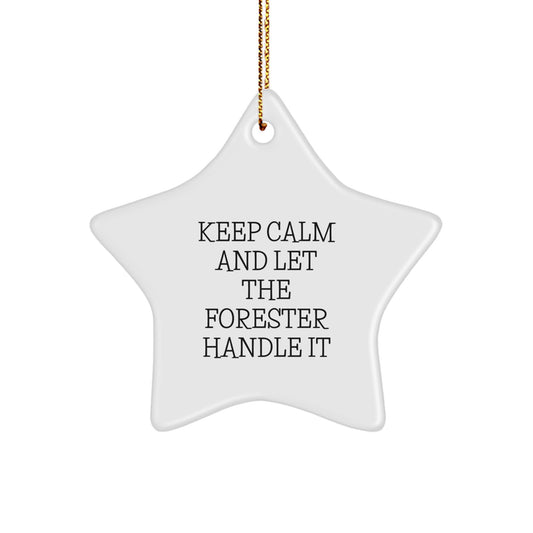 Forester Gifts from Men to Friends with Funny Star Ornament, 'Keep Calm And Let The Forester Handle It', Christmas Unique Gifts - Image 1