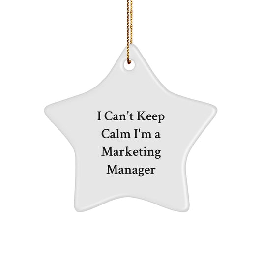 I Can't Keep Calm I'm A Marketing Manager Gifts for Friends and Family - Star Ornament for Christmas - Image 1