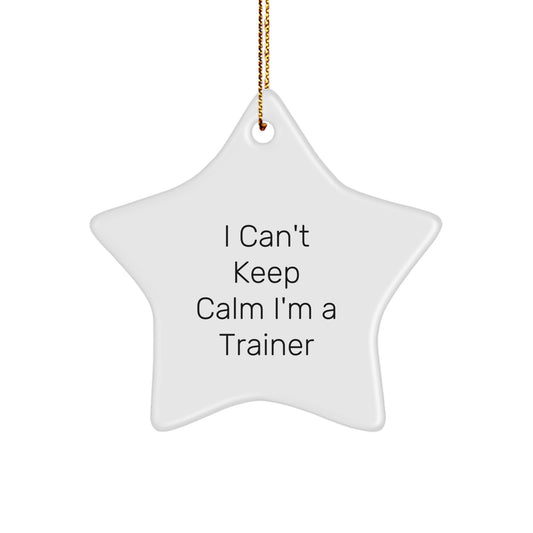 Funny Trainer Star Ornament, I Can't Keep Calm I'm A Trainer, Gift for Trainers, Christmas Unique Gifts from Friends, Coworkers, or Family - Image 1