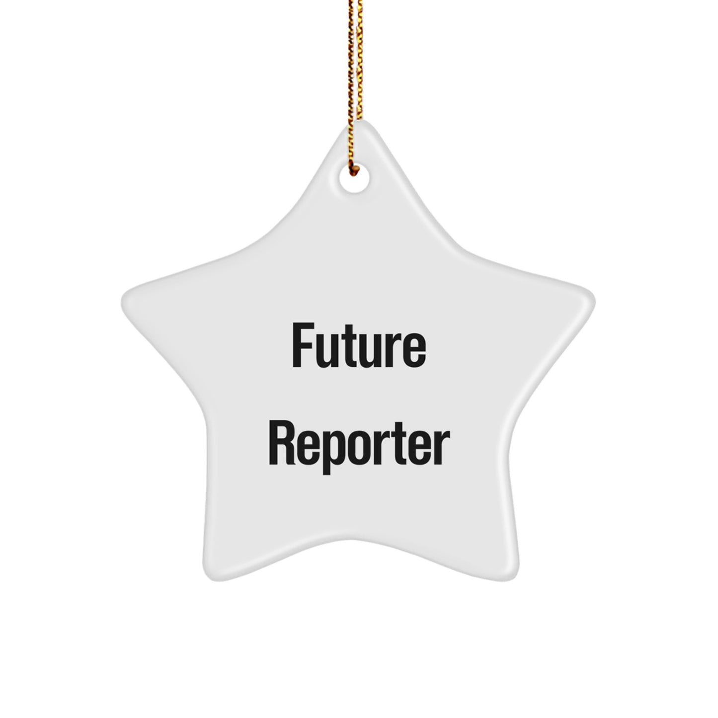 Funny Future Reporter Gifts from Men to Reporter Friends for Christmas Unique Ornaments - Image 1