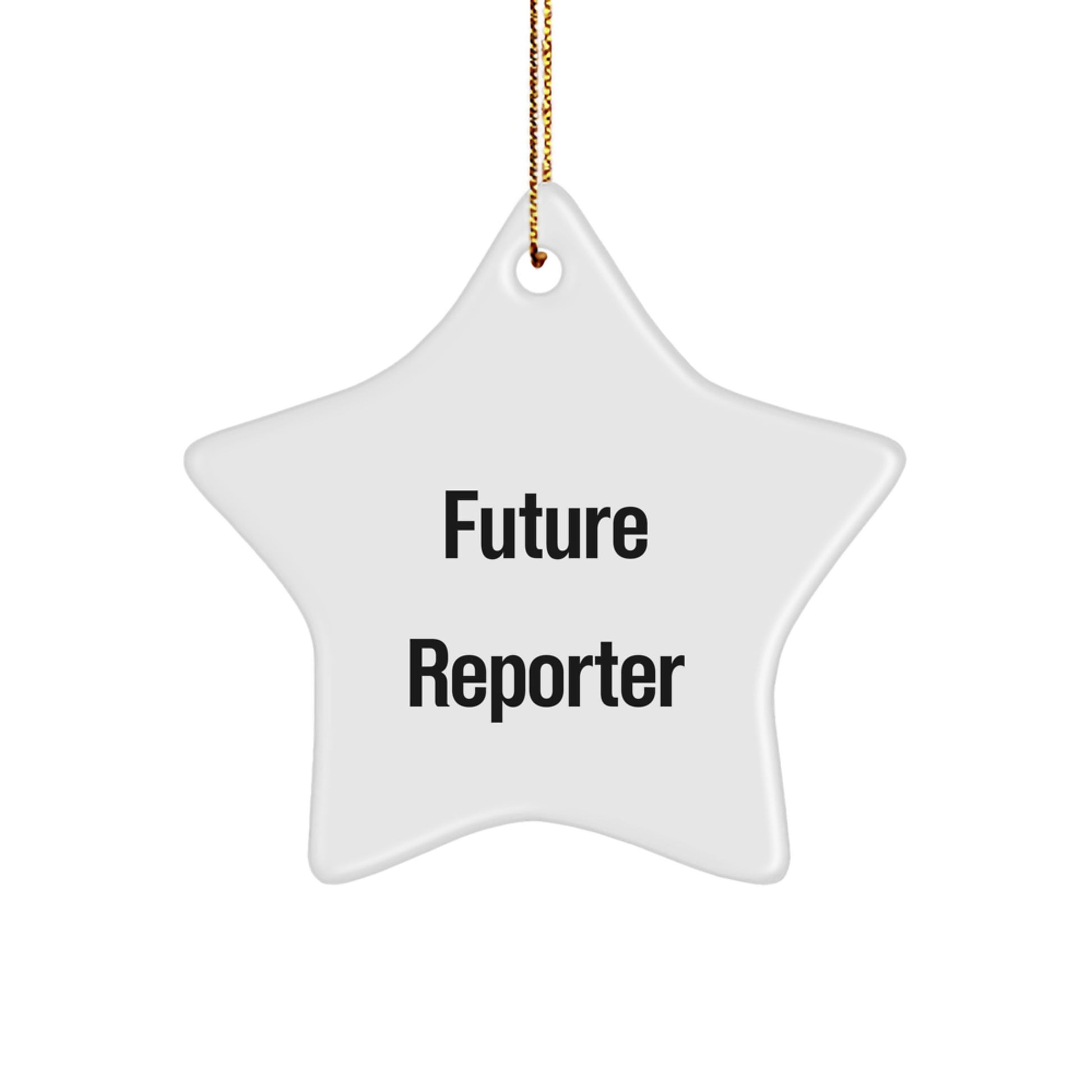 Funny Future Reporter Gifts from Men to Reporter Friends for Christmas Unique Ornaments - Image 1