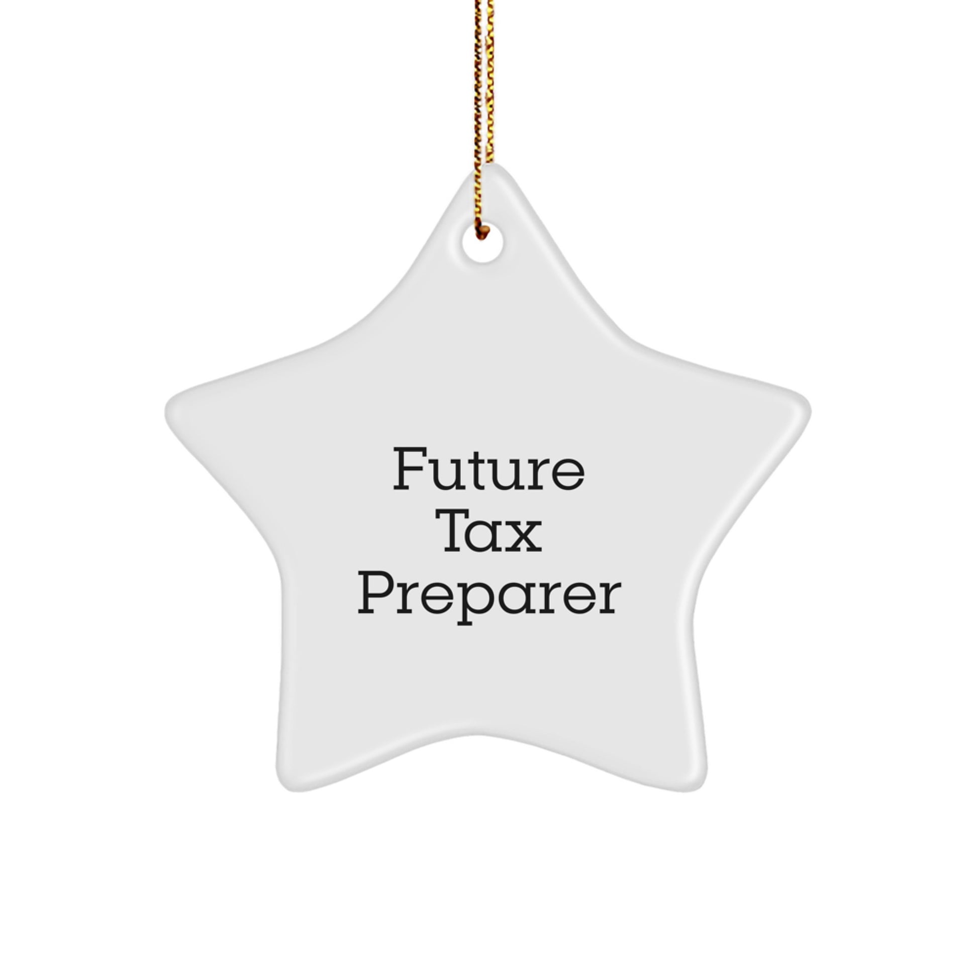 Funny Future Tax Preparer Gifts from Friends - Inspirational Star Ornament for Christmas - Image 1