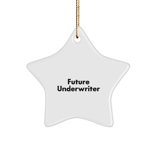 Funny Future Underwriter Quotes Star Ornament Gifts from Friends for Underwriter, Christmas Unique Gifts - Image 1