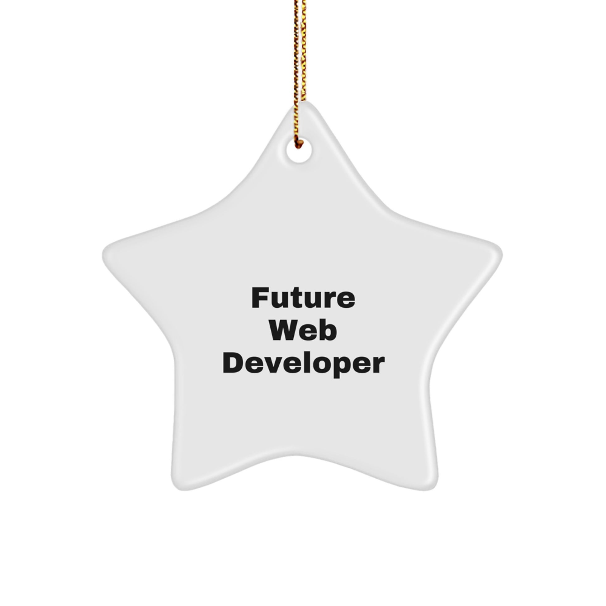 Funny Future Web Developer Gifts for Men - Web Developer Star Ornament with Inspirational Quote, Christmas Unique Gifts from Friends to Coworkers - Image 1