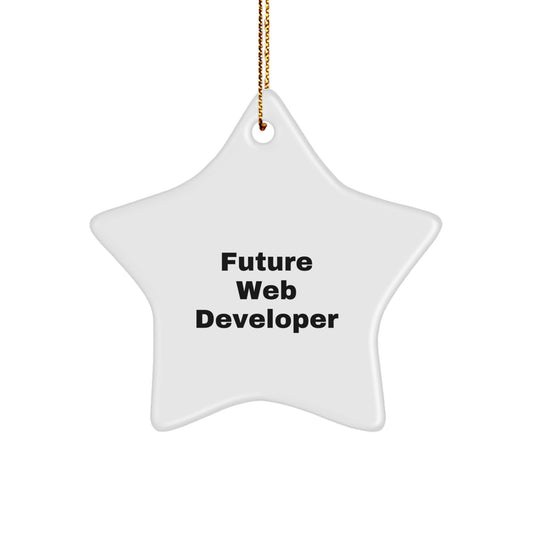 Funny Future Web Developer Gifts for Men - Web Developer Star Ornament with Inspirational Quote, Christmas Unique Gifts from Friends to Coworkers - Image 1
