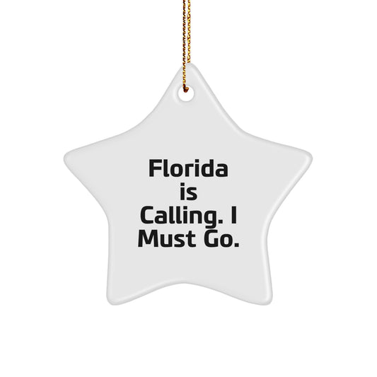 Florida Star Ornament Gifts from Friends for Florida Lovers with Inspirational Quote, Unique Christmas Decorations for Home or Office - Image 1