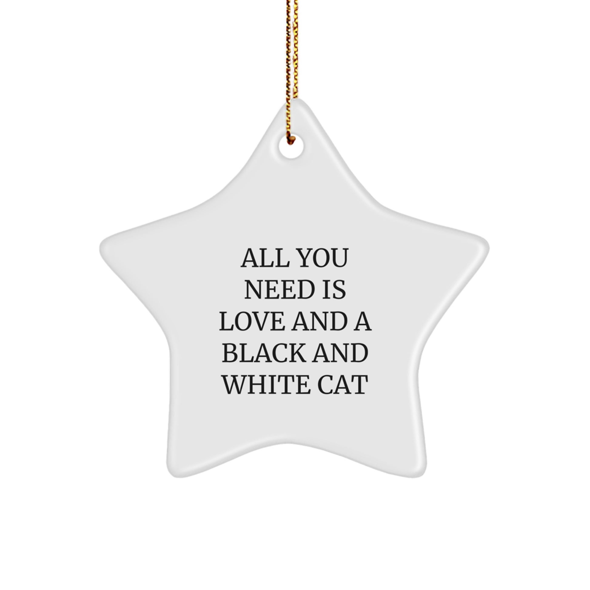 Funny Black and White Cat Gifts for Friends - Star Ornament with Quote 'All You Need Is Love And A Black And White Cat' - Christmas Unique Presents - Image 1