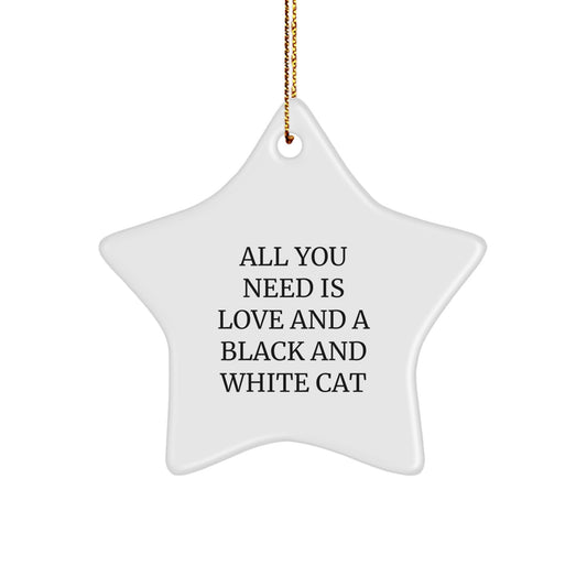 Funny Black and White Cat Gifts for Friends - Star Ornament with Quote 'All You Need Is Love And A Black And White Cat' - Christmas Unique Presents - Image 1