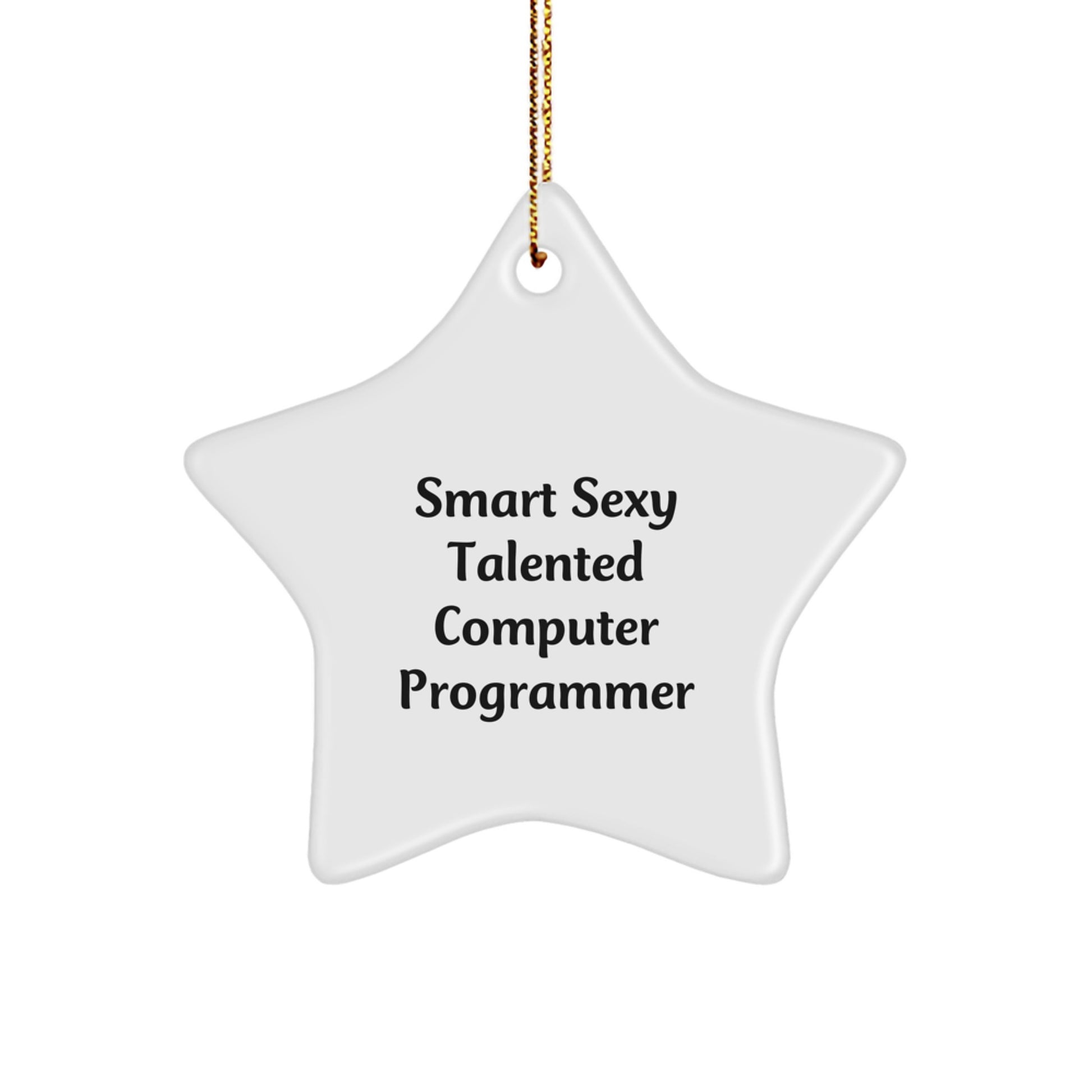 Funny Computer Programmer Gifts from Friends for Christmas, 'Smart Sexy Talented' Star Ornament - Image 1